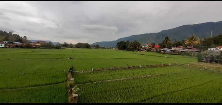 Toba Boi Hotel ตุกตุก ภายนอก รูปภาพ